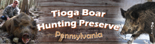 Tioga Boar Hunting Preserve, Tioga Pennsylvania